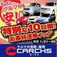 カーチス