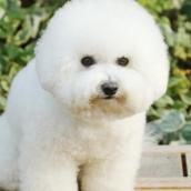 【UCS】川人正美