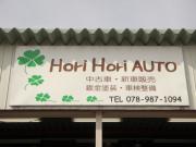 Hori Hori AUTO
