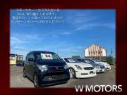 W MOTORS