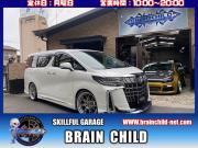 Brain Child