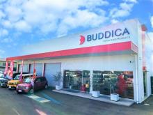 BUDDICA(バディカ) ルート32号店