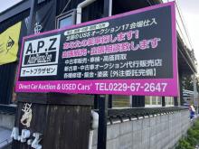 A.P.Z AutoPlazaZen