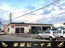 ビーナス