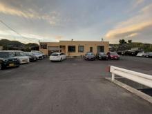 オートコレクション ボンデージ