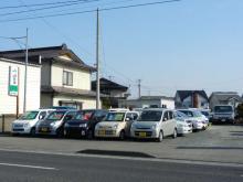 auto shop tree house