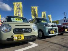 mobility store CARBEE