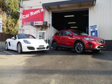 *    *             カールミア             * *