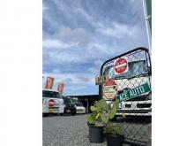 ACE AUTO エースオート