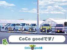coco good